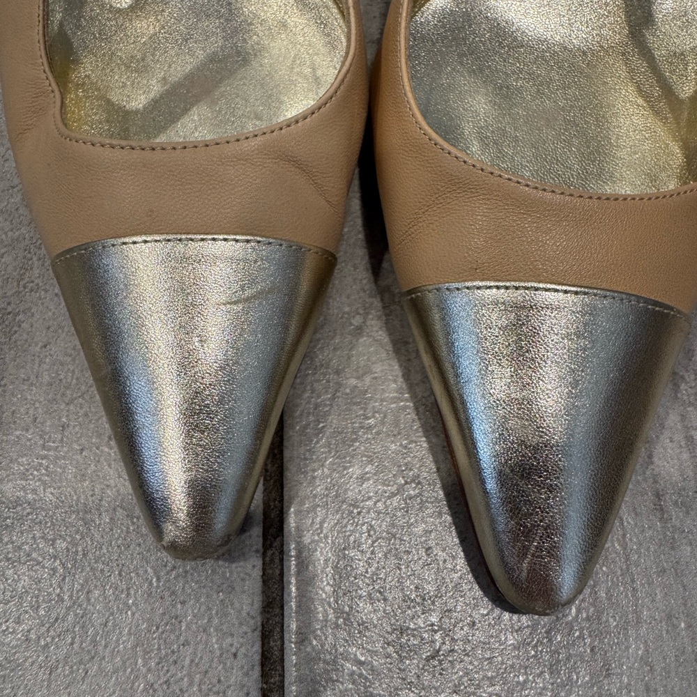 Manolo Blahnik Nude and Silver Pointed-Toe Slingback Heels - Picture 7 of 16